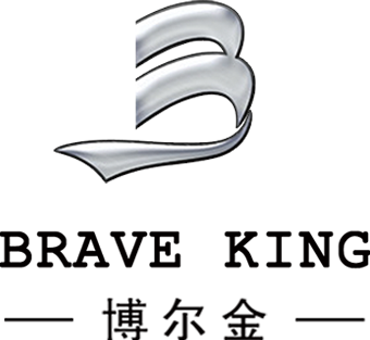 Brave King Laser —LOGO